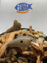 Load image into Gallery viewer, American Shad
