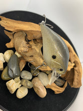 Load image into Gallery viewer, American Shad
