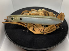 Load image into Gallery viewer, Clear Water Shad
