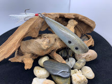 Load image into Gallery viewer, Clear Water Shad
