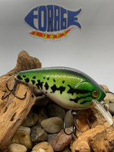 Load image into Gallery viewer, Emerald Lg. Mouth Bass
